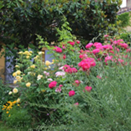 Domaine De La Chartreuse Dautre